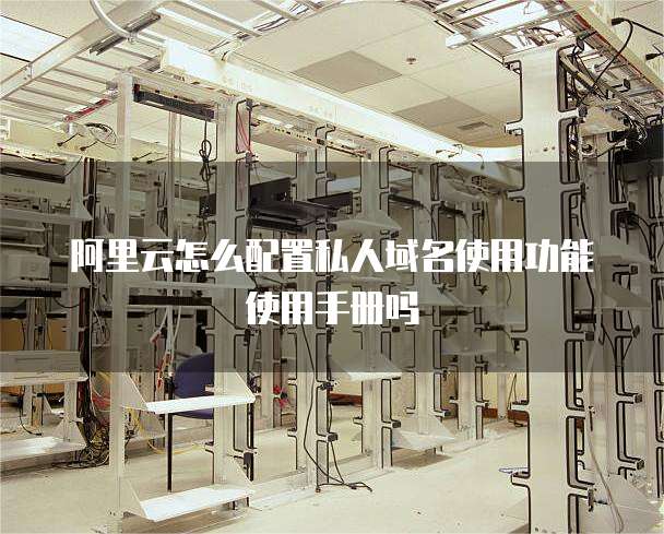 阿里云怎么配置私人域名使用功能使用手册吗