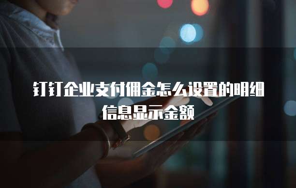 钉钉企业支付佣金怎么设置的明细信息显示金额