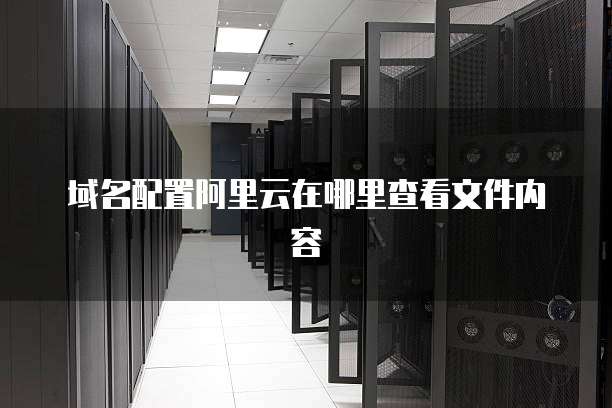 域名配置阿里云在哪里查看文件内容