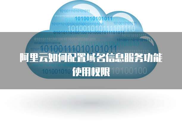 阿里云如何配置域名信息服务功能使用权限