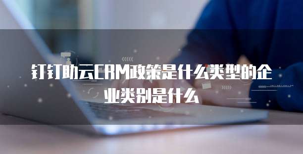 钉钉助云CRM政策是什么类型的企业类别是什么