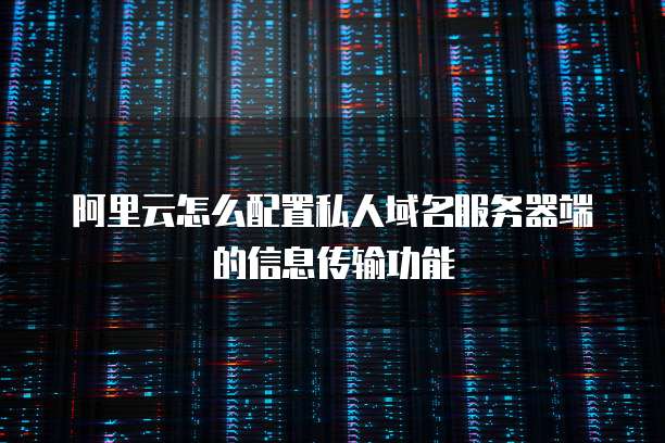 阿里云怎么配置私人域名服务器端的信息传输功能