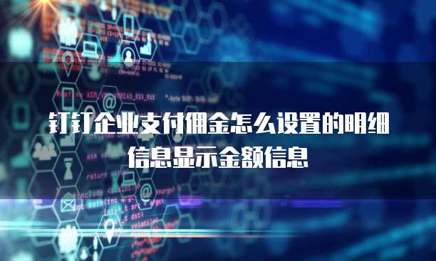 钉钉企业支付佣金怎么设置的明细信息显示金额信息