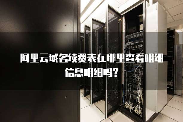 阿里云域名续费表在哪里查看明细信息明细吗?