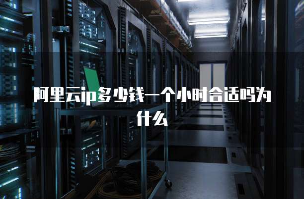 阿里云ip多少钱一个小时合适吗为什么