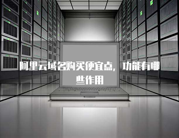 阿里云域名购买便宜点,功能有哪些作用