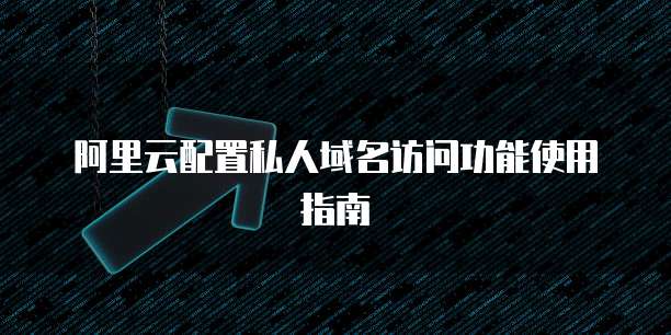 阿里云配置私人域名访问功能使用指南