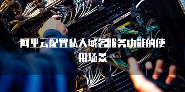 阿里云配置私人域名服务功能的使用场景