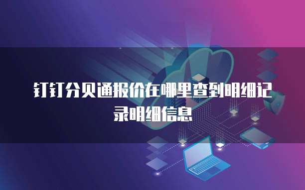 钉钉分贝通报价在哪里查到明细记录明细信息