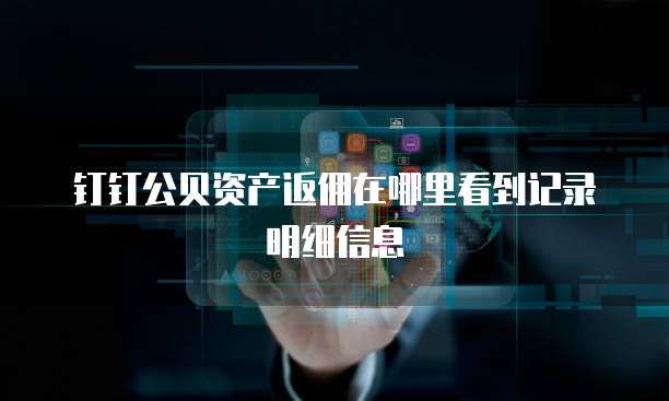 钉钉公贝资产返佣在哪里看到记录明细信息