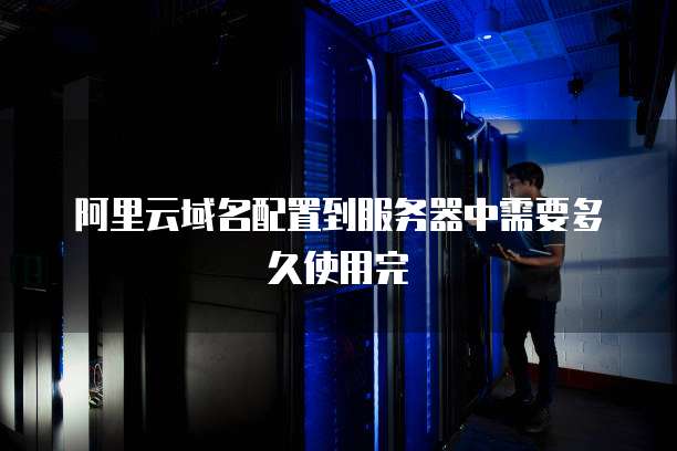 阿里云域名配置到服务器中需要多久使用完