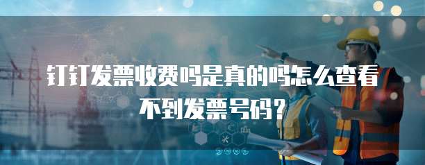 钉钉发票收费吗是真的吗怎么查看不到发票号码?