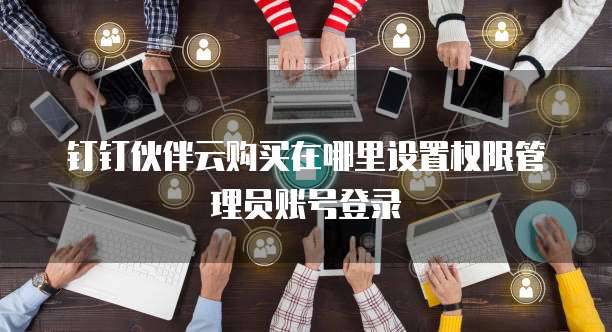 钉钉伙伴云购买在哪里设置权限管理员账号登录
