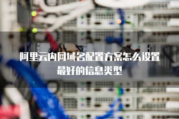 阿里云内网域名配置方案怎么设置最好的信息类型