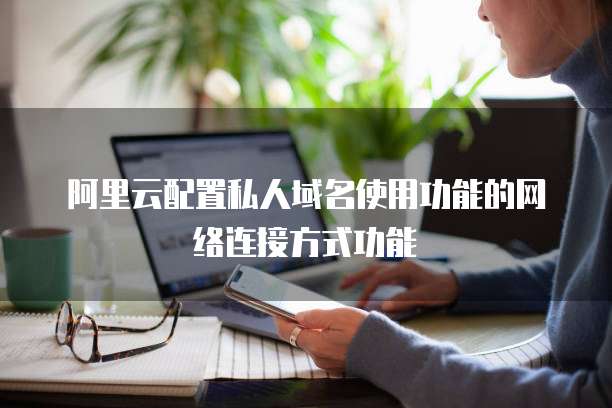 阿里云配置私人域名使用功能的网络连接方式功能