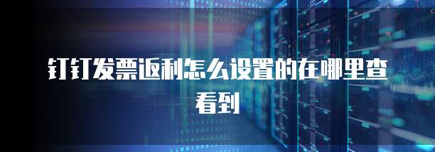 钉钉发票返利怎么设置的在哪里查看到