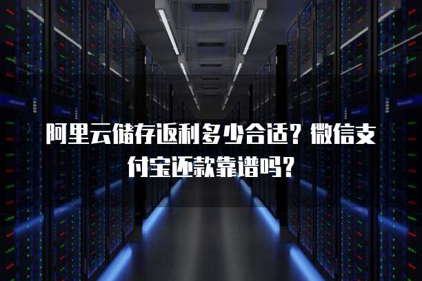 阿里云储存返利多少合适?微信支付宝还款靠谱吗?