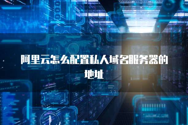 阿里云怎么配置私人域名服务器的地址