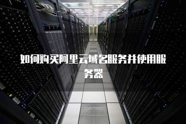 如何购买阿里云域名服务并使用服务器