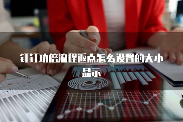 钉钉功倍流程返点怎么设置的大小显示