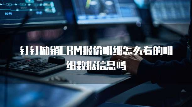 钉钉励销CRM报价明细怎么看的明细数据信息吗