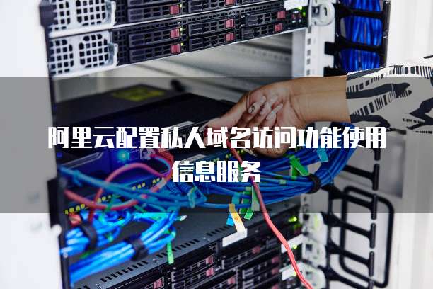 阿里云配置私人域名访问功能使用信息服务