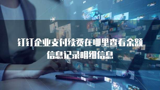 钉钉企业支付续费在哪里查看余额信息记录明细信息