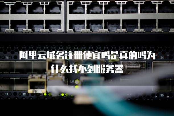 阿里云域名注册便宜吗是真的吗为什么找不到服务器