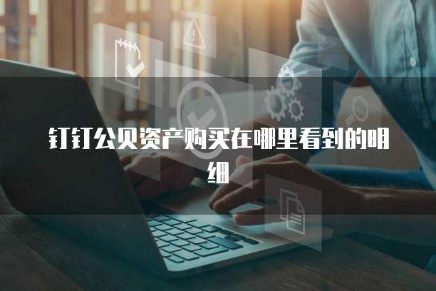 钉钉公贝资产购买在哪里看到的明细