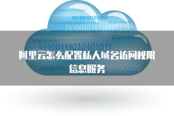 阿里云怎么配置私人域名访问权限信息服务