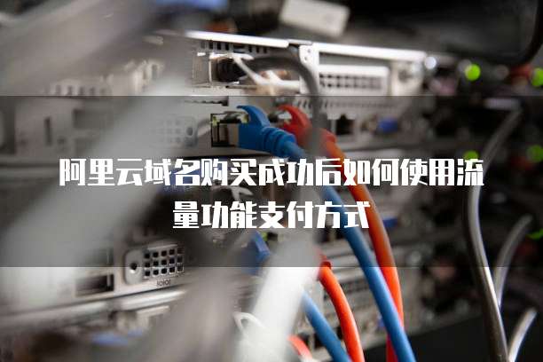 阿里云域名购买成功后如何使用流量功能支付方式