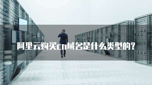 阿里云购买cn域名是什么类型的?