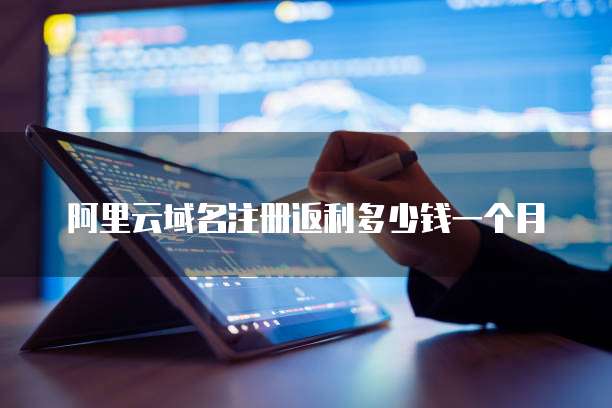 阿里云域名注册返利多少钱一个月