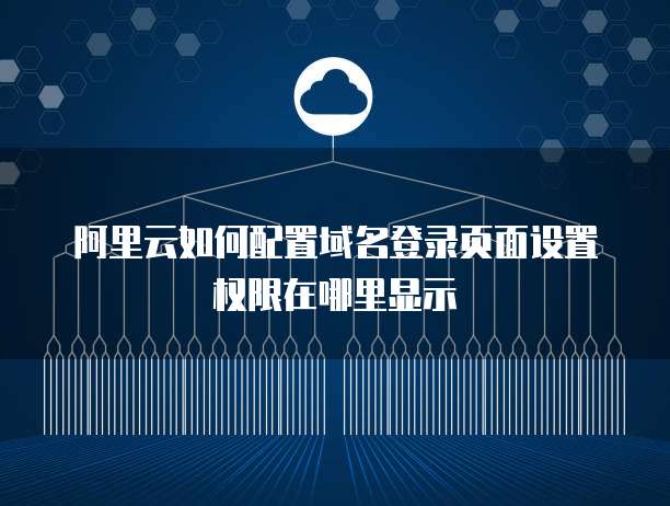阿里云如何配置域名登录页面设置权限在哪里显示