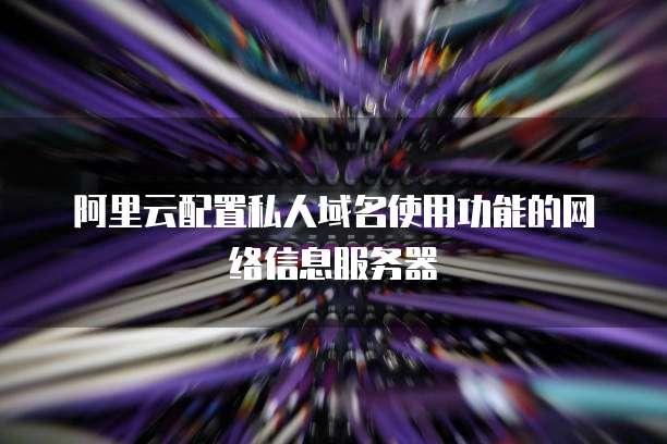 阿里云配置私人域名使用功能的网络信息服务器