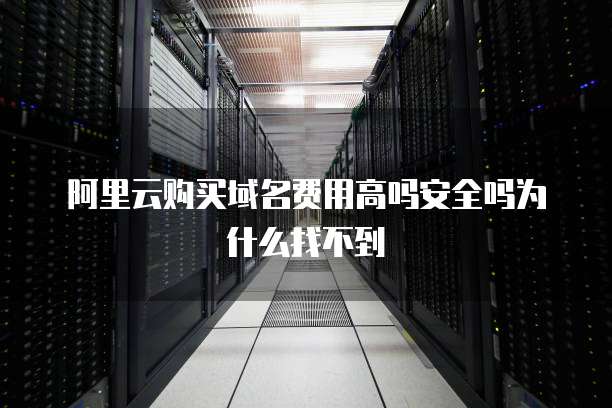 阿里云购买域名费用高吗安全吗为什么找不到