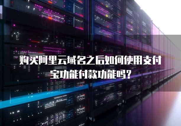 购买阿里云域名之后如何使用支付宝功能付款功能吗?