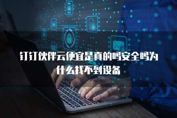钉钉伙伴云便宜是真的吗安全吗为什么找不到设备