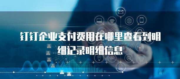 钉钉企业支付费用在哪里查看到明细记录明细信息