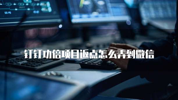 钉钉功倍项目返点怎么弄到微信