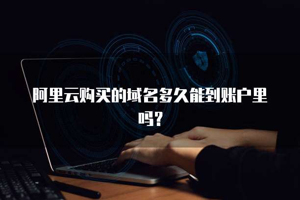 阿里云购买的域名多久能到账户里吗?