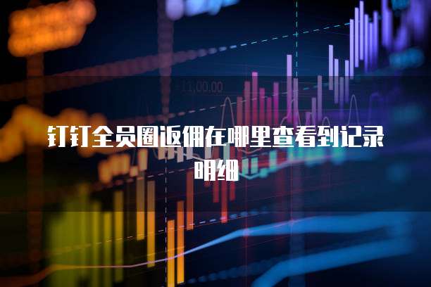 钉钉全员圈返佣在哪里查看到记录明细