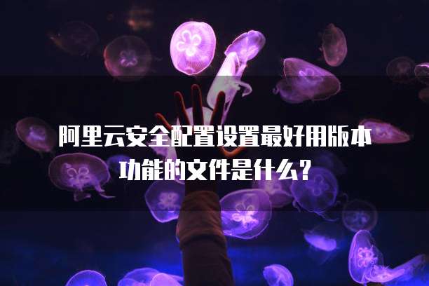 阿里云安全配置设置最好用版本功能的文件是什么?