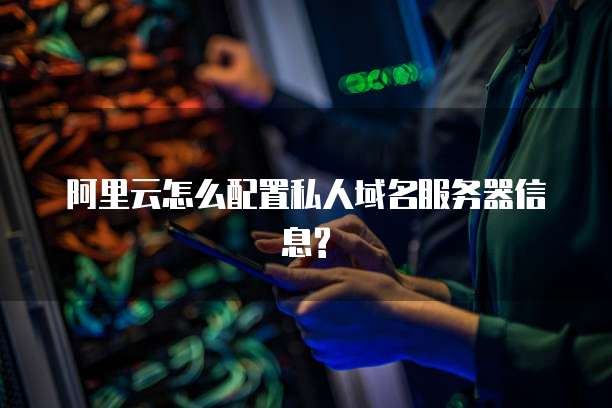 阿里云怎么配置私人域名服务器信息?