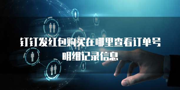 钉钉发红包购买在哪里查看订单号明细记录信息