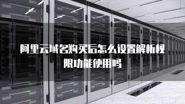 阿里云域名购买后怎么设置解析权限功能使用吗