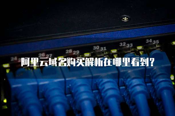 阿里云域名购买解析在哪里看到?