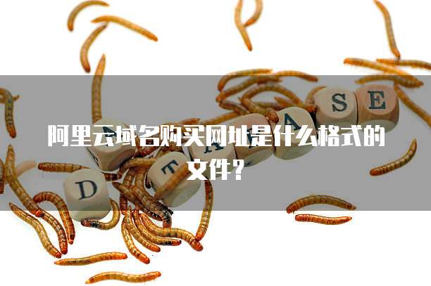 阿里云域名购买网址是什么格式的文件?