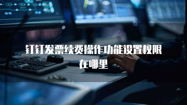 钉钉发票续费操作功能设置权限在哪里