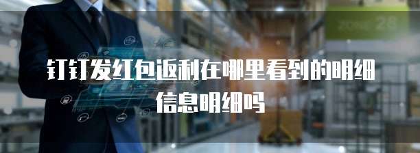 钉钉发红包返利在哪里看到的明细信息明细吗